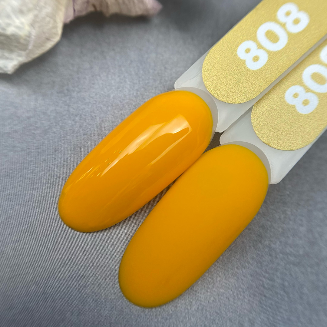 808.jpg